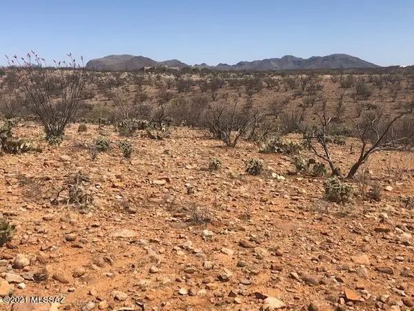 339 Camino Kennedy, Tubac, AZ 85646