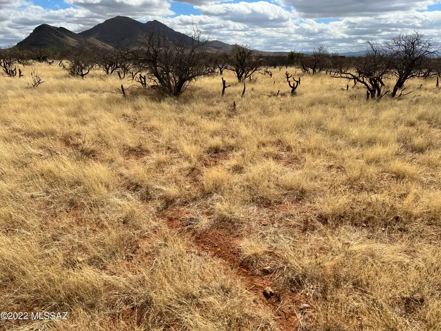 TBD Camino Nacozari/camino Talaver, Tubac, AZ 85646 - #2