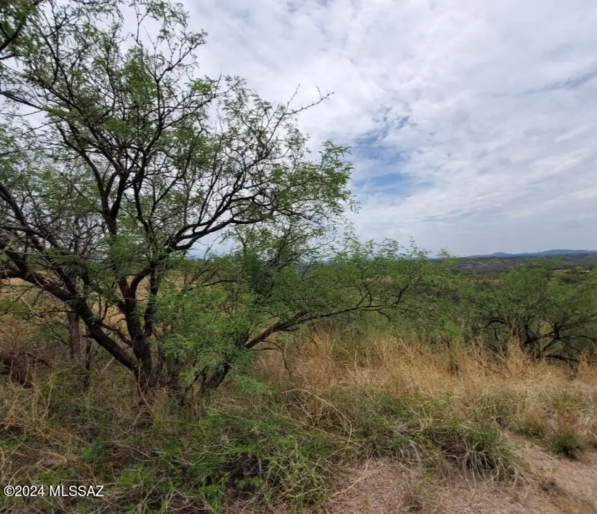 580 Cave, Rio Rico, AZ 85648 - Image #2