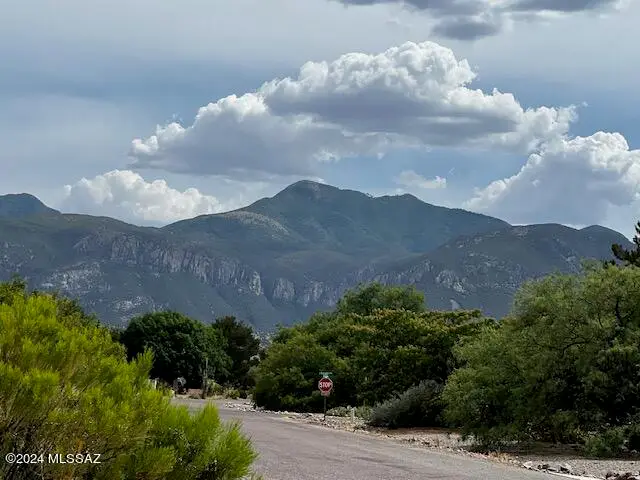 Lot 229 S Sauk, Sierra Vista, AZ 85650 - #3