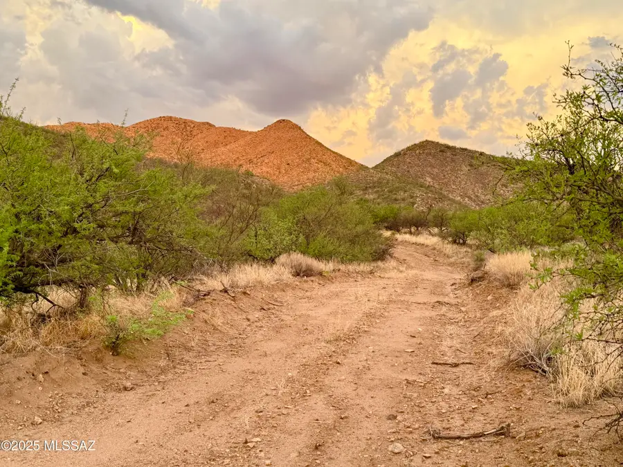 19795 S Attaway, Vail, AZ 85641 - #3