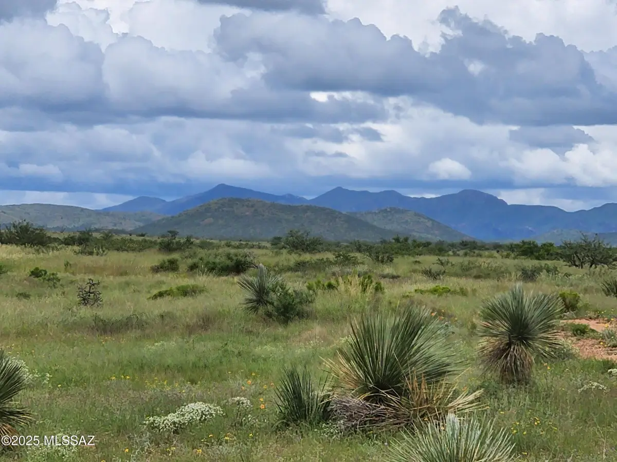 10632 N Double U Ranch, Tombstone, AZ 85638 - Image #1