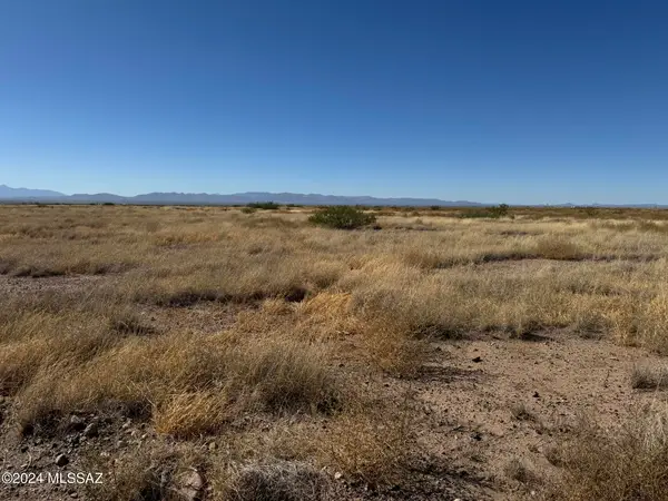 .22 Acre N San Mateo, Douglas, AZ 85607