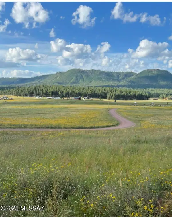 Lot 32 The Ranch At Alpine #32, Alpine, AZ 85920