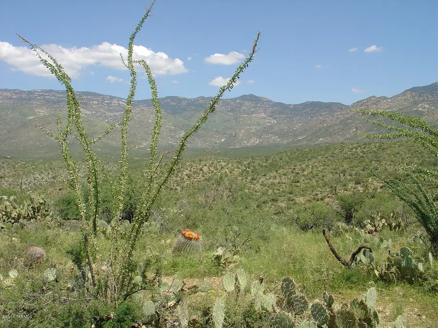 7301 S Red Hill, Vail, AZ 85641 - Image #3