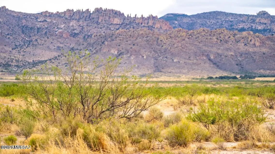 TBD E Many Wells 41 Acres, Portal, AZ 85632 - Image #1