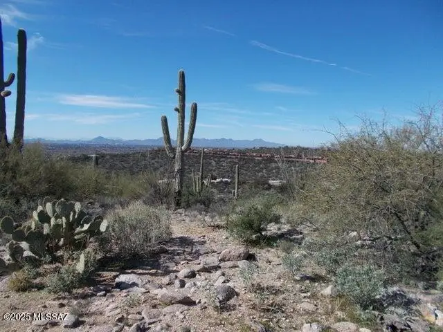 4130 N Painted Quail, Tucson, AZ 85750 - Image #2