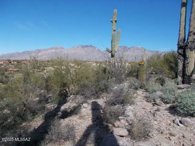 4130 N Painted Quail, Tucson, AZ 85750 - Image #3