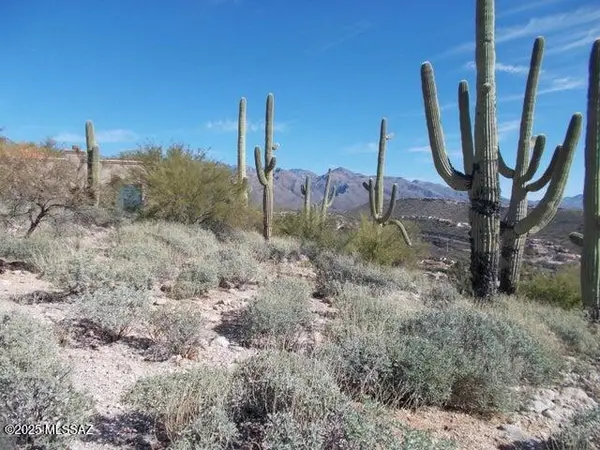 4160 N Painted Quail, Tucson, AZ 85750