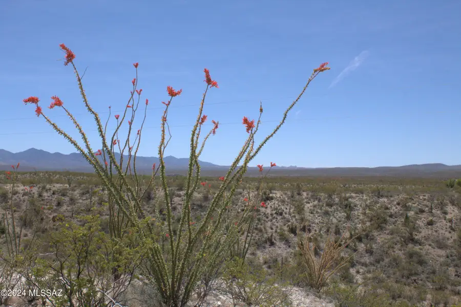 TBD S Taurus Place, Vail, AZ 85641 - #2