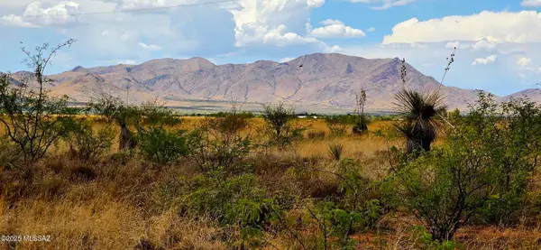 Lot 20 Willcox Road #20, Pearce, AZ 85625