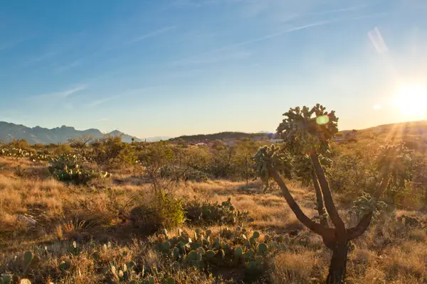 0 E Calle Rosa Linda, Tucson, AZ 85739