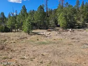 3326 Black Canyon, Heber, AZ 85933 - Image #3