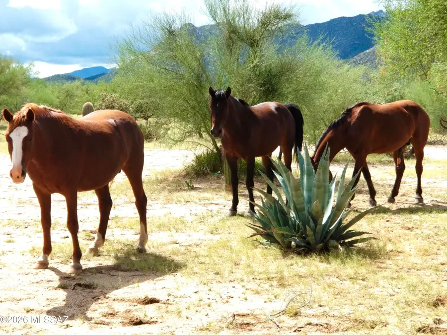 Parcel 22 Of Hayhook Ranch, Tucson, AZ 85735 - #2