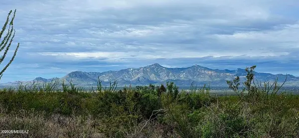 Lots 3 & 4 S Lonesome, Hereford, AZ 85615