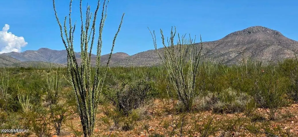 TBD E Beech Craft, Bisbee, AZ 85603 - Image #1