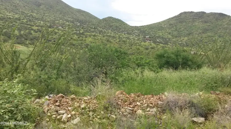 S Goodenough, Vail, AZ 85641 - Image #2