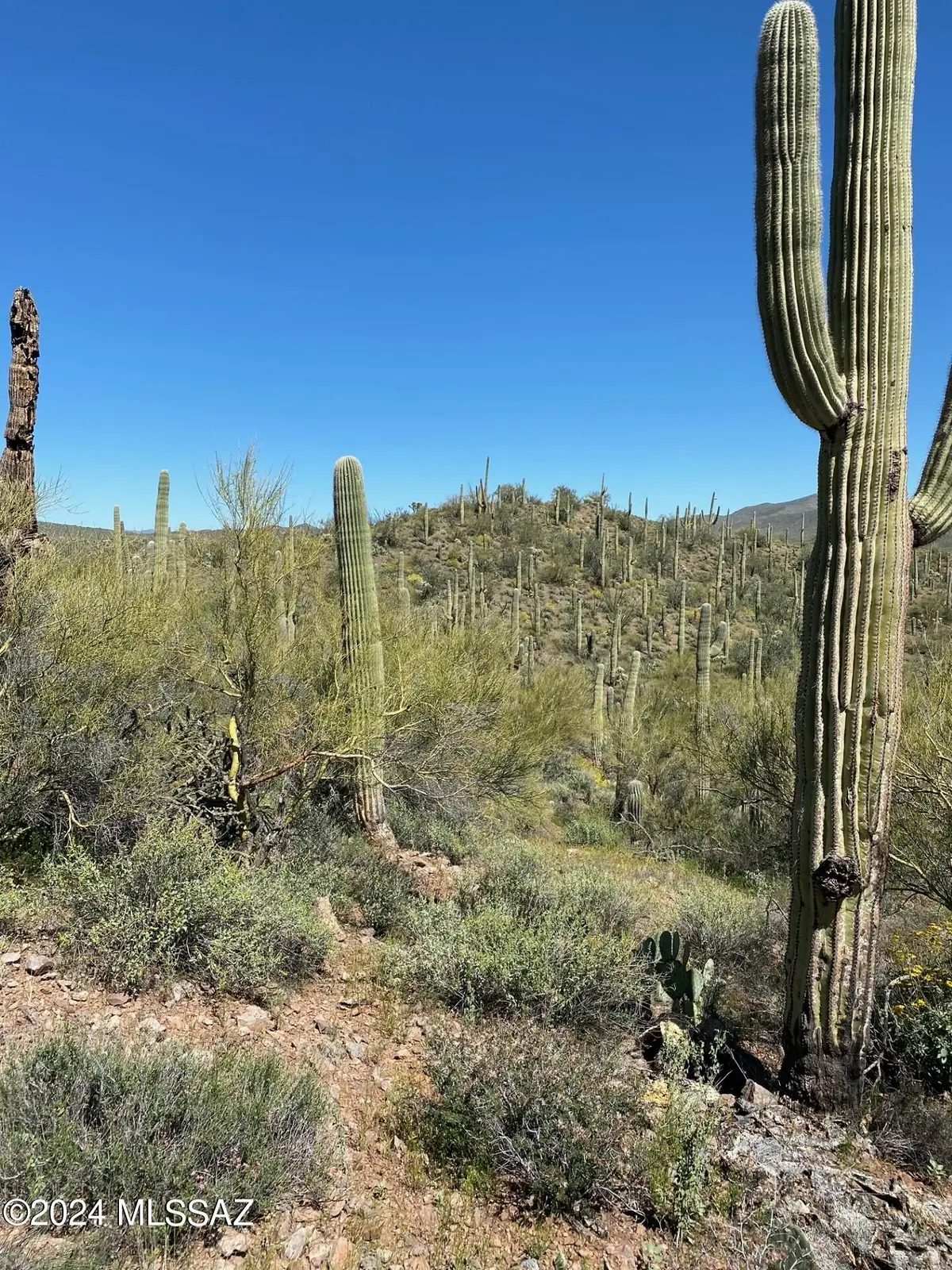 Tbd No Address, Marana, AZ 85658 - Image #1