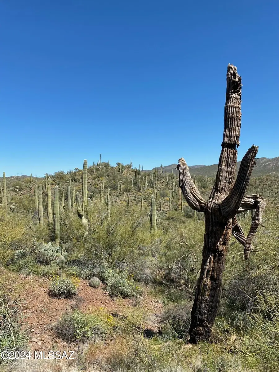 Tbd No Address, Marana, AZ 85658 - Image #3