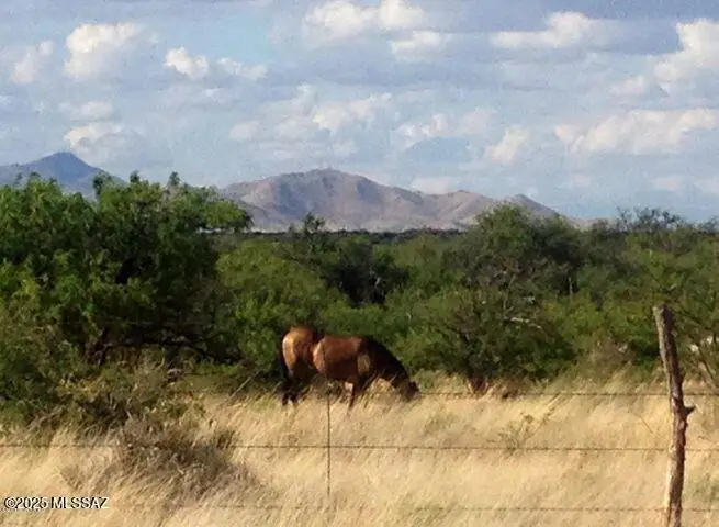 E162 E De Vaca Circle #62, Saint David, AZ 85630 - Image #1