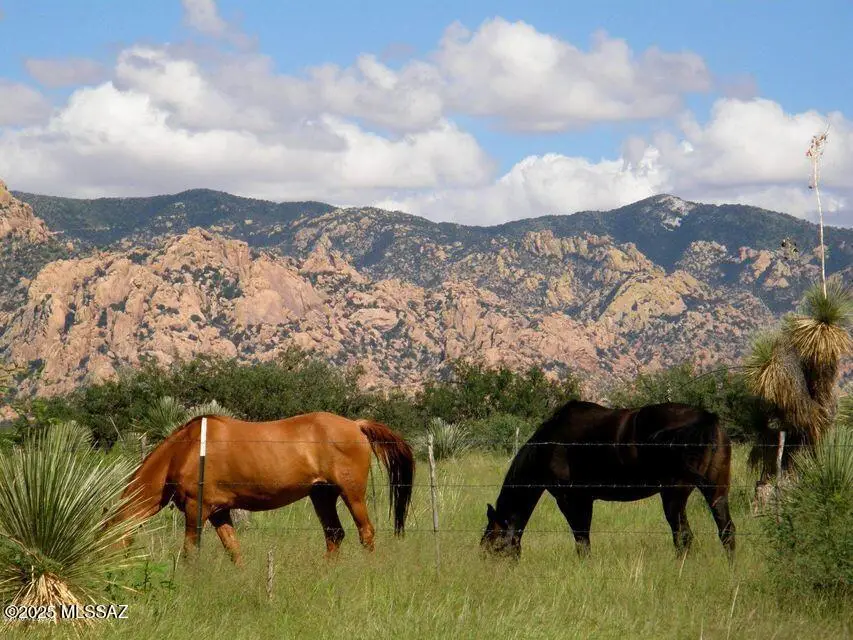 E162 E De Vaca Circle #62, Saint David, AZ 85630 - Image #3