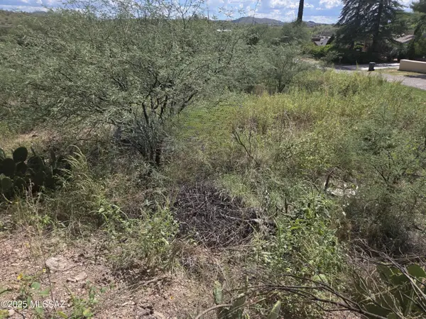 TBD N Camino Rebecca #17, Nogales, AZ 85621