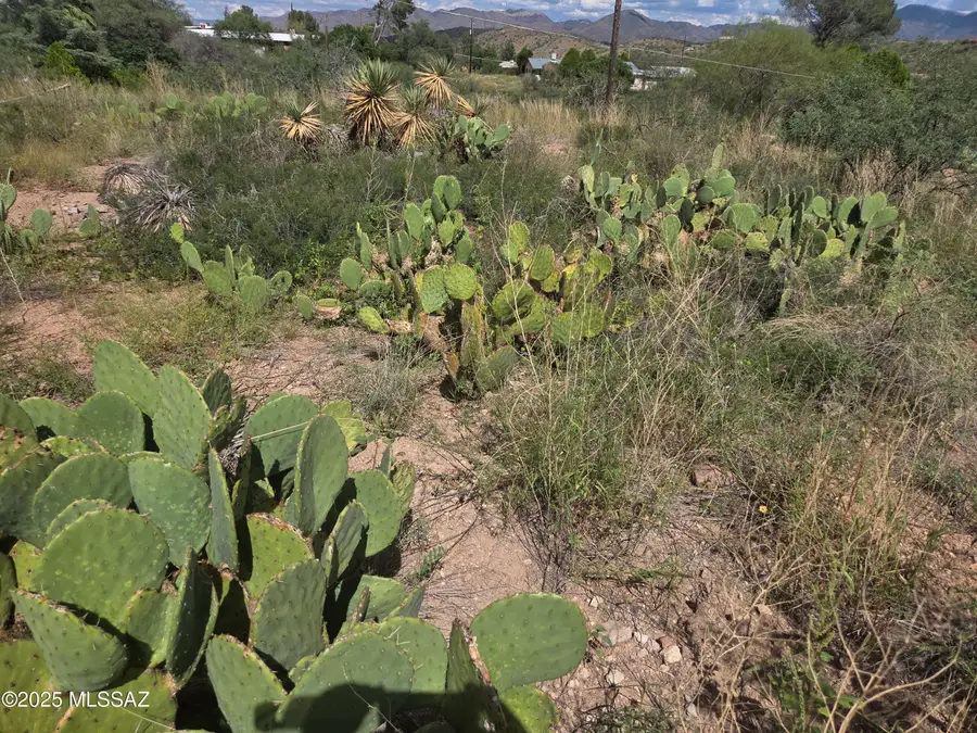 TBD N Camino Rebecca #17, Nogales, AZ 85621 - Image #2