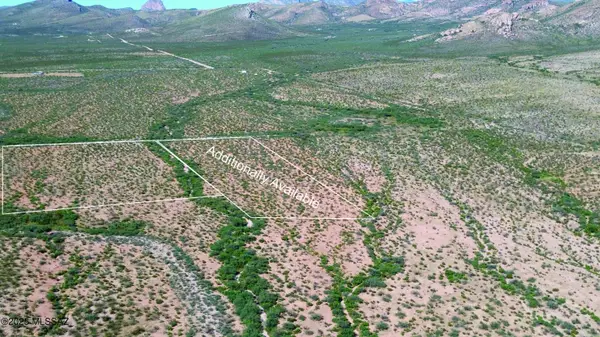 4.73 Acres Calle Los Vientos #246, Douglas, AZ 85607