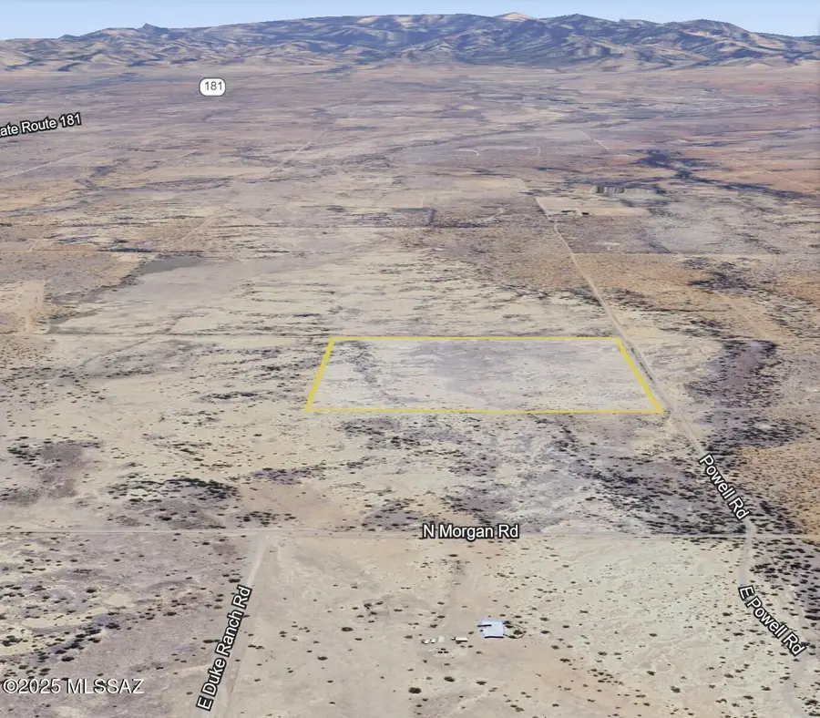 TBD 40 Acres Tyree Rd #118, Pearce, AZ 85625 - Image #2