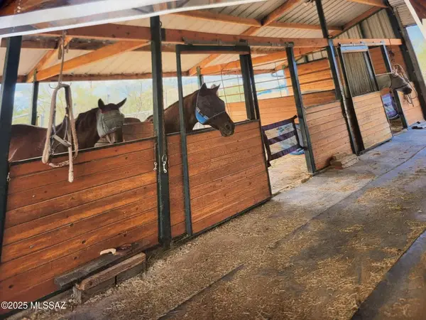 5552 S Beehive Avenue, Tucson, AZ 85746