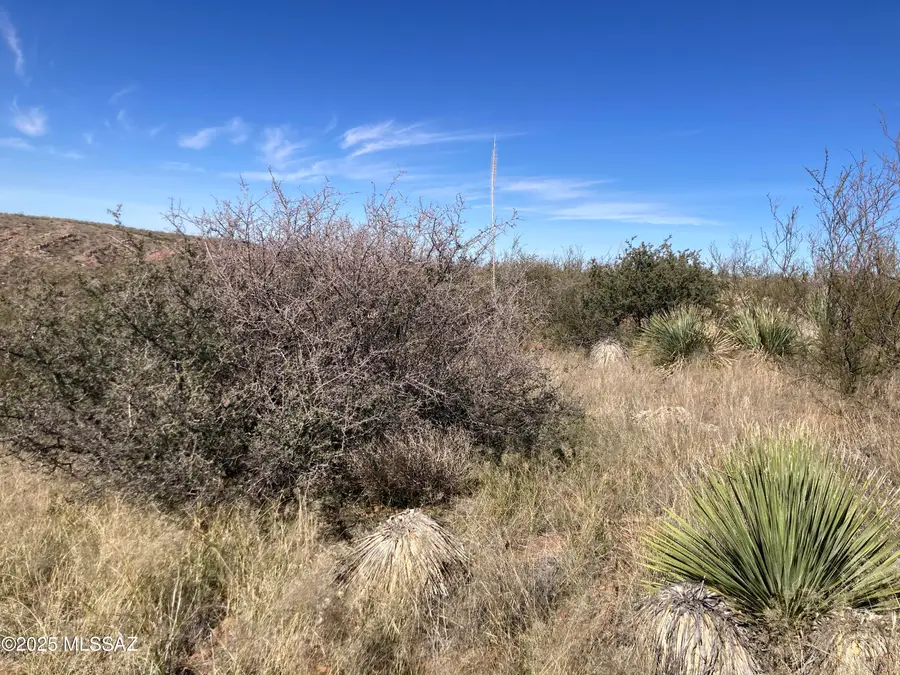 27809 S Wagon Rim Road, Elgin, AZ 85611 - Image #3