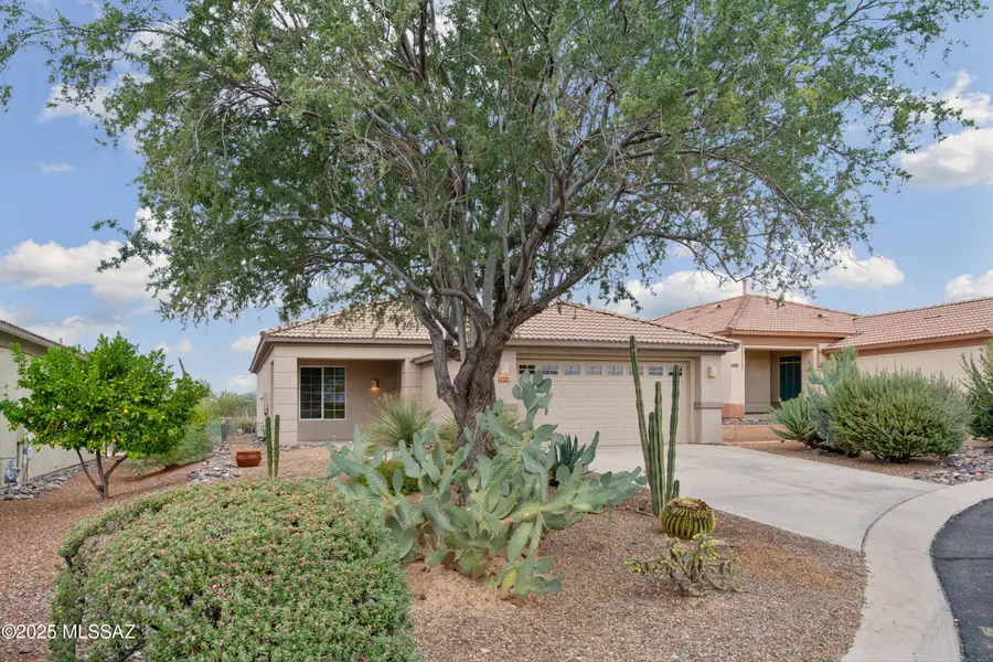 5004 W Desert Chicory, Marana, AZ 85658 - Image #2