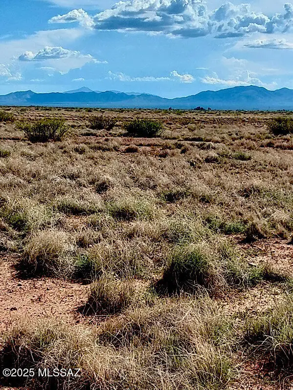 TBD N Ee Ranch Lot 2 Of 2, McNeal, AZ 85617 - Image #1