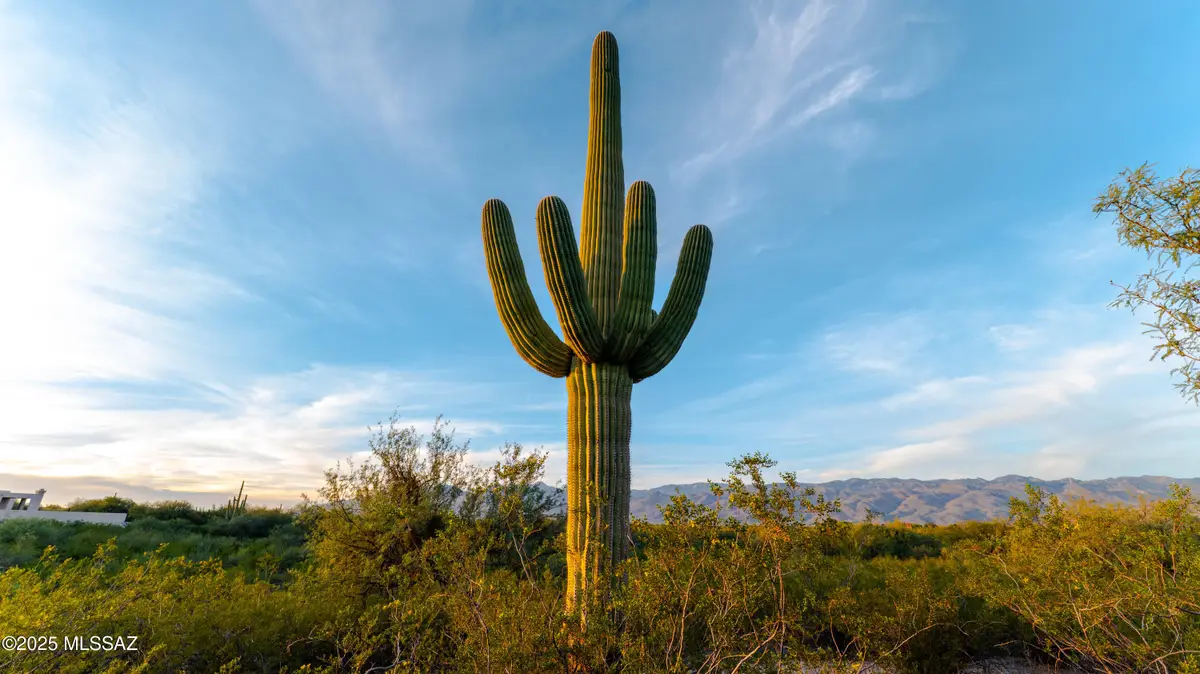 12075 E Speedway Boulevard, Tucson, AZ 85748 - Image #1