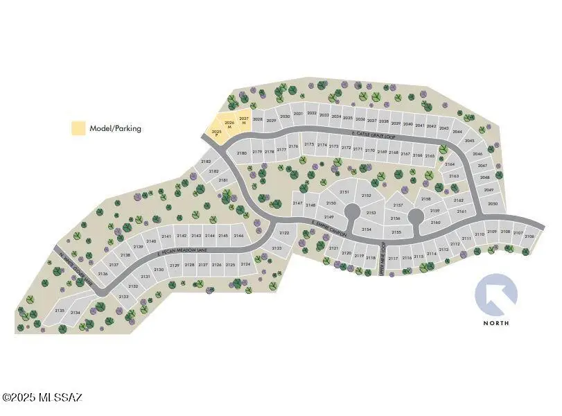 1531 E Cattle Graze Loop, Sahuarita, AZ 85629 - Image #3