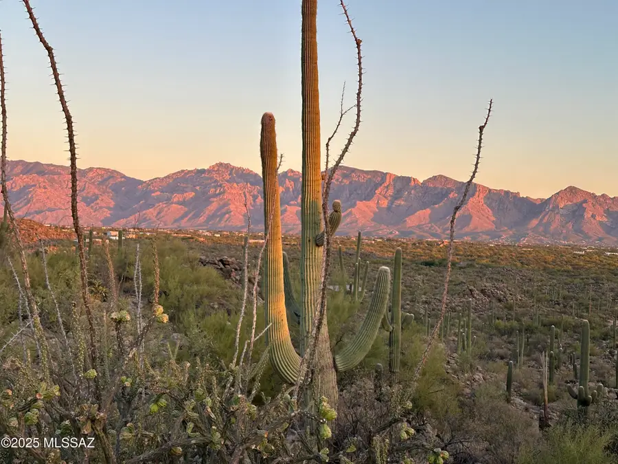 13672 N Old Ranch House, Marana, AZ 85658 - Image #3