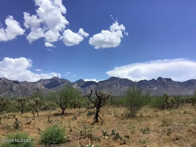 3681 E Rollins Road, Catalina, AZ 85739 - Image #2