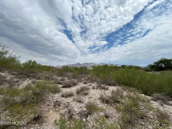 N Palo Verde Boulevard, Tucson, AZ 85718