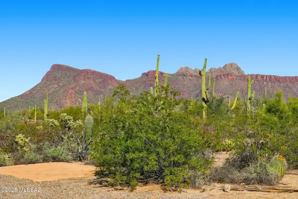 9780 W Rudasill Road, Tucson, AZ 85743