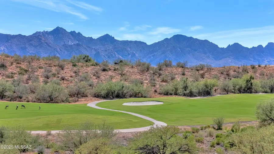 62165 E Valley Crest, Saddlebrooke, AZ 85739 - Image #3