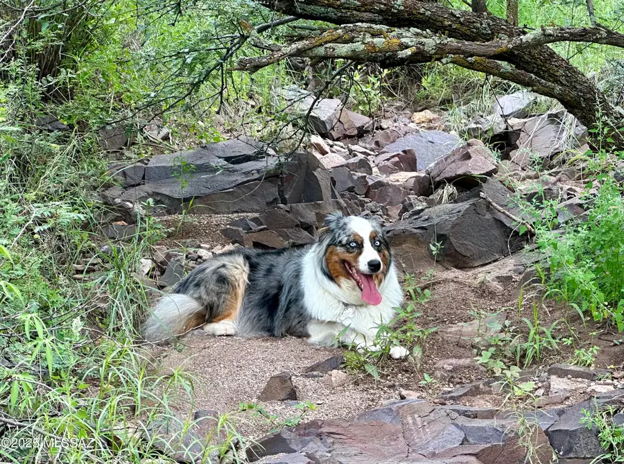 00 Proctor Lane #D-2, Patagonia, AZ 85624 - Image #3