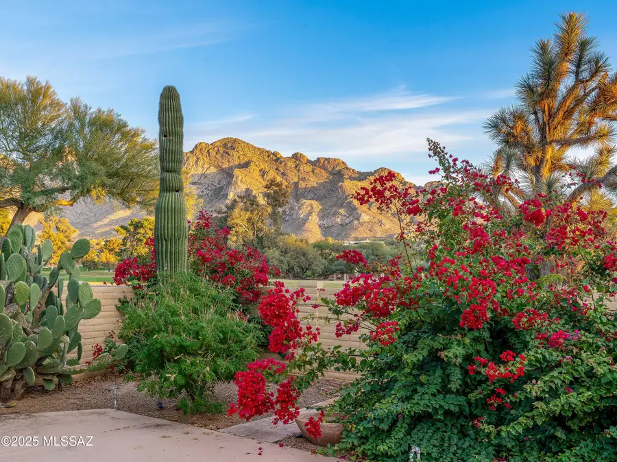 565 W Golf View Drive, Oro Valley, AZ 85737 - Image #3