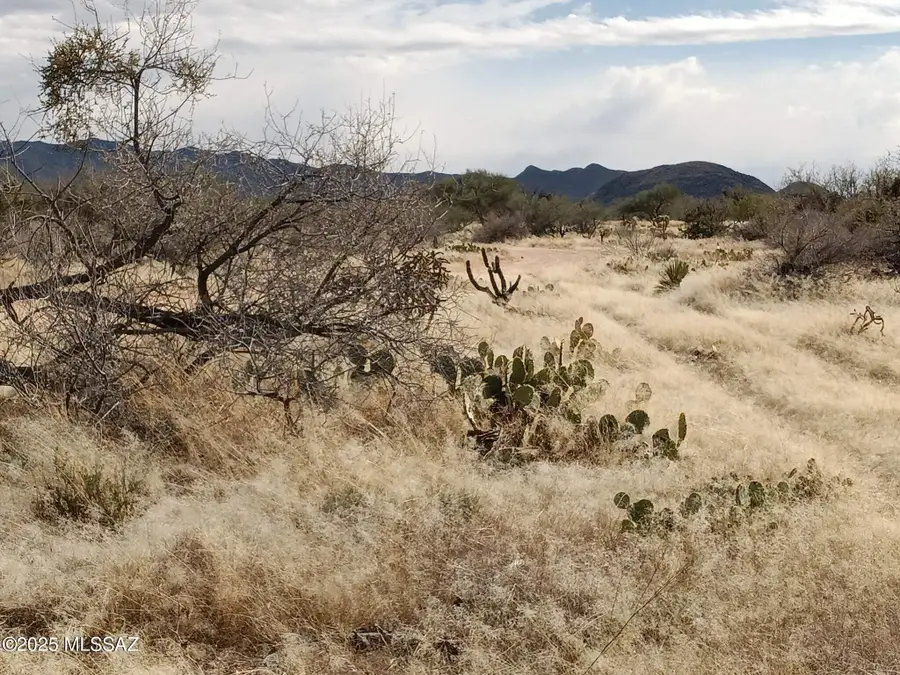 16040 S Big Run Avenue #316, Tucson, AZ 85736 - Image #2