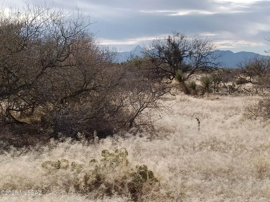 16040 S Big Run Avenue #316, Tucson, AZ 85736 - Image #3