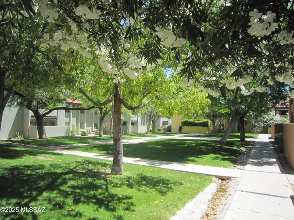 2172 N Pantano Road # 218, Tucson, AZ 85715