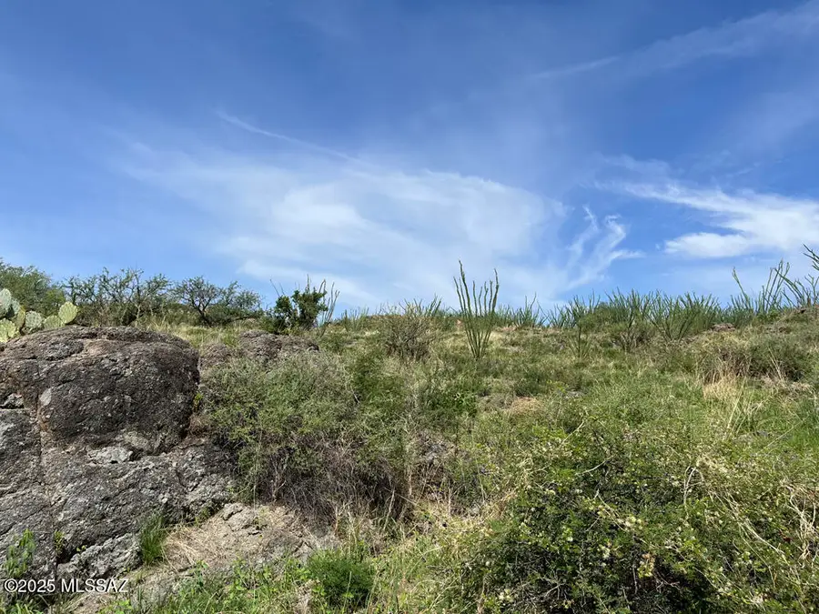 XX Doc Hudson Ct Court #2, Tubac, AZ 85646 - Image #2