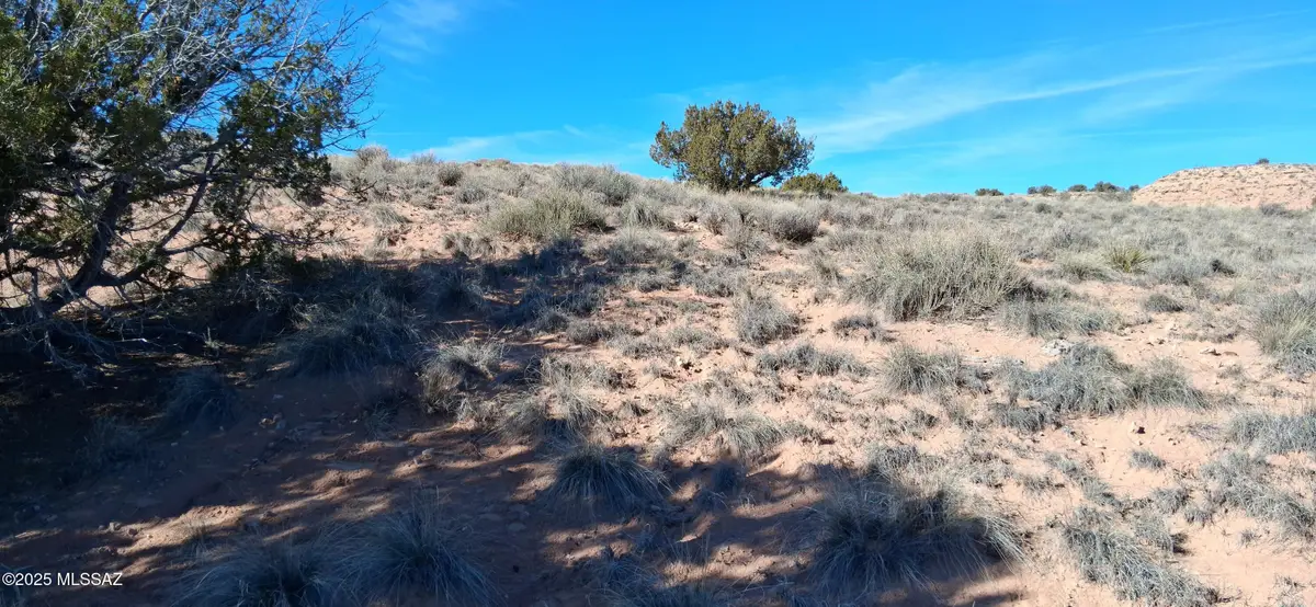 3.02 Acres Unnamed, Sanders, AZ 86512 - Image #1