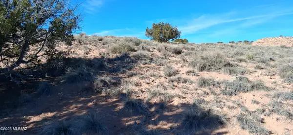 3.02 Acres Unnamed, Sanders, AZ 86512