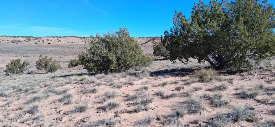 3.02 Acres Unnamed, Sanders, AZ 86512 - Image #2