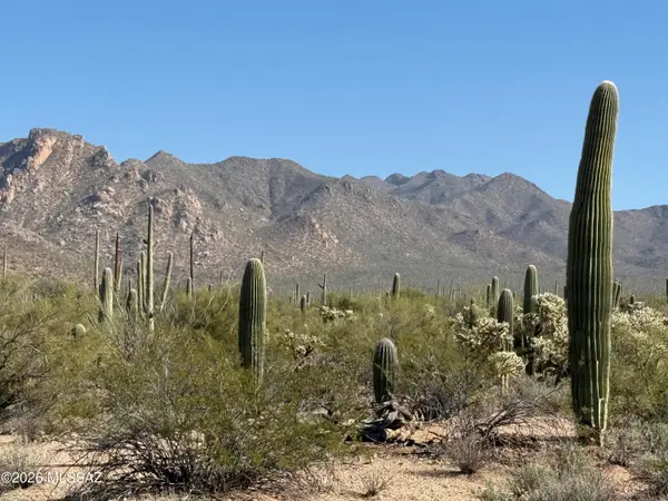 Tbd Parcel A Sandario Rd, Tucson, AZ 85743